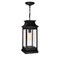 Cwi Lighting Milford 1 Light Outdoor Black Pendant 0418P7L-1 - alternate 1